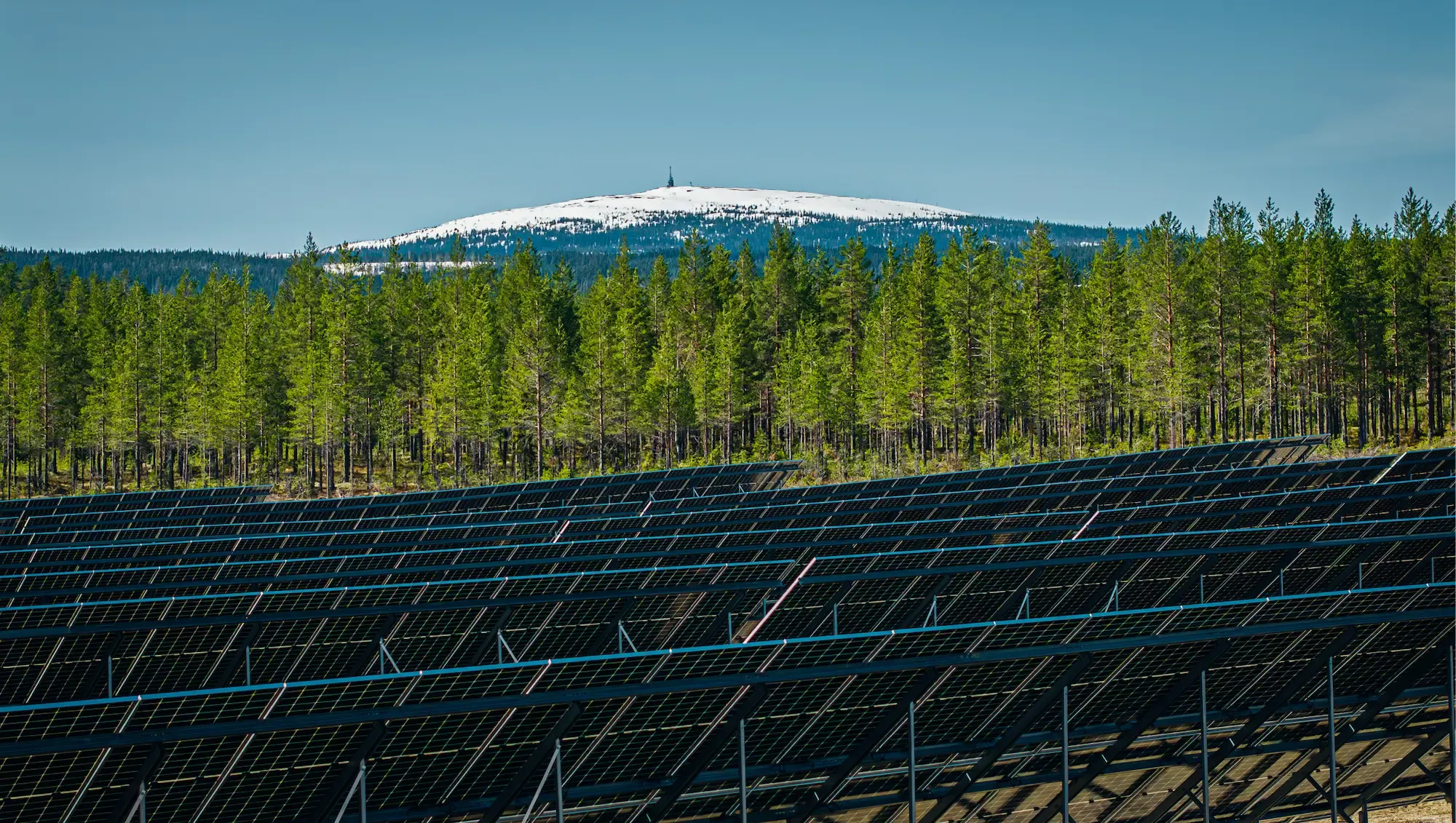 Aerial photograph of a ground-mounted solar farm in forested landscape with mountains behind