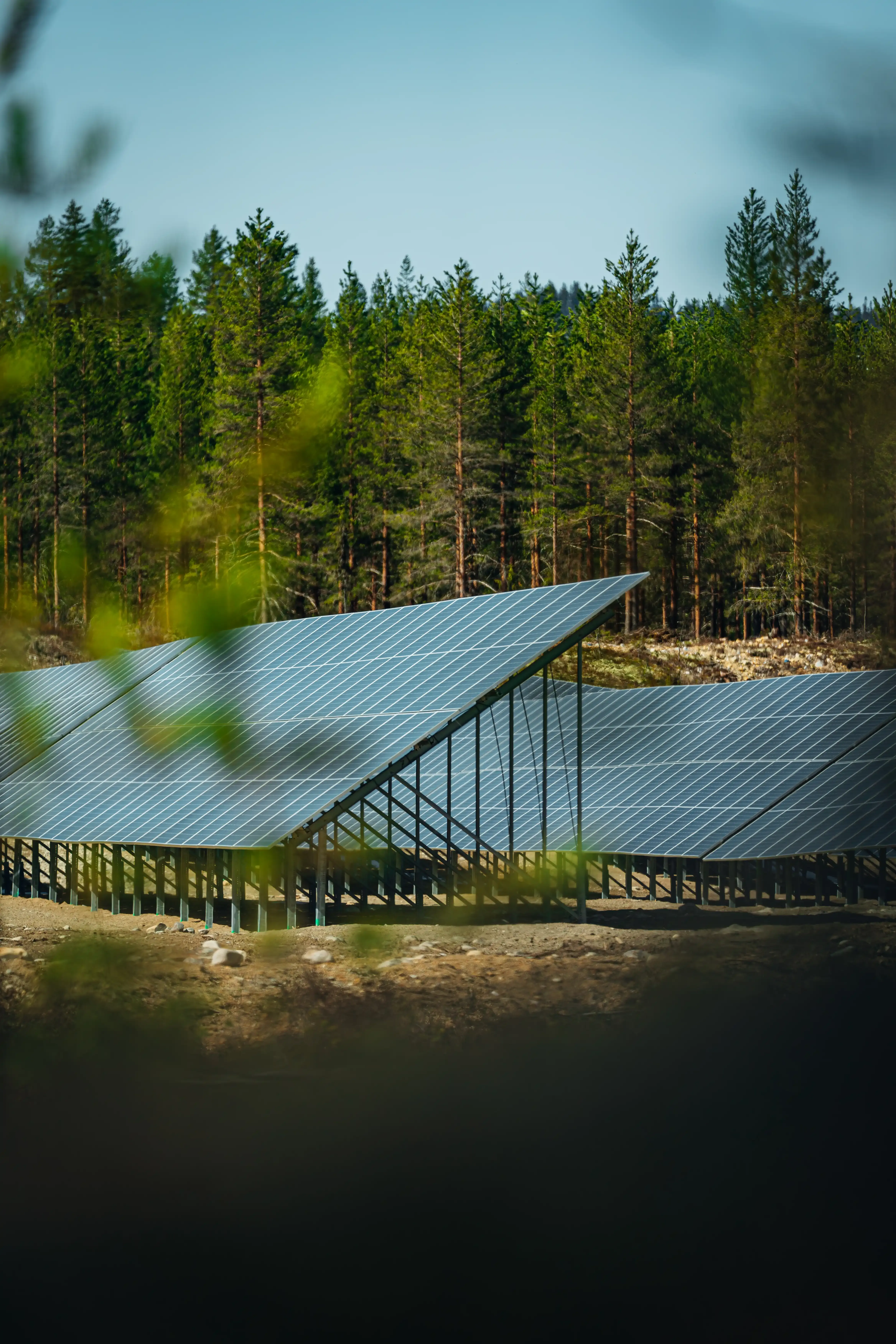 Rows of solar panels at a solar farm surrounded by green landscape